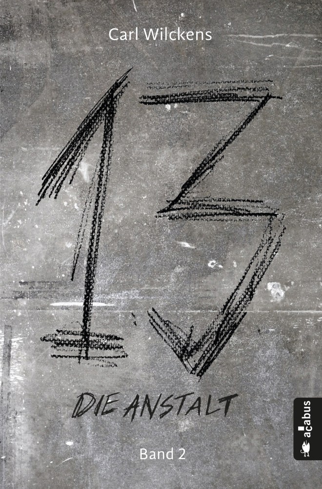 cover, dreizehn, die Anstalt, dark fantasy